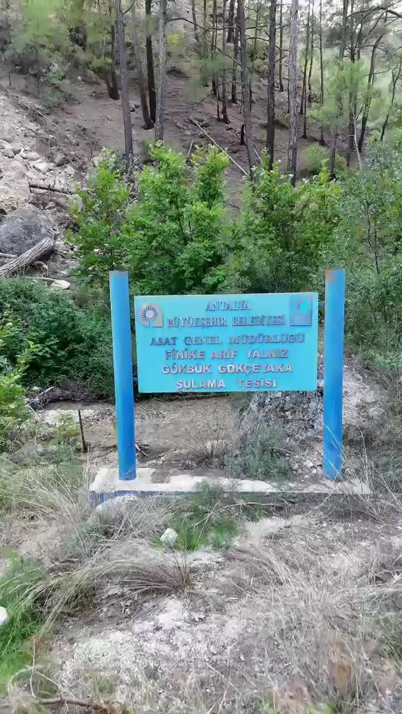 @Orhan Sarıkaya