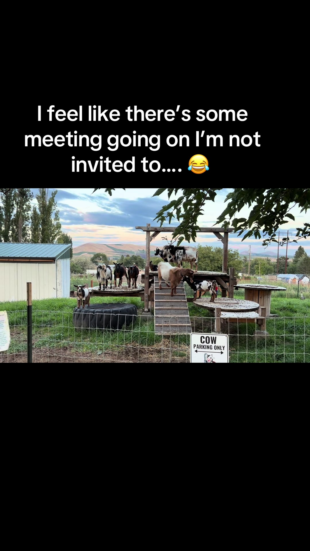 @WollamFarm