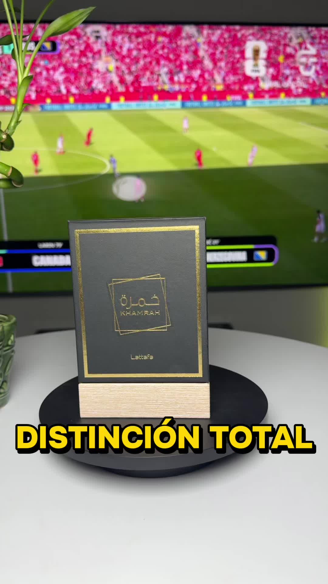 @Loquitostore