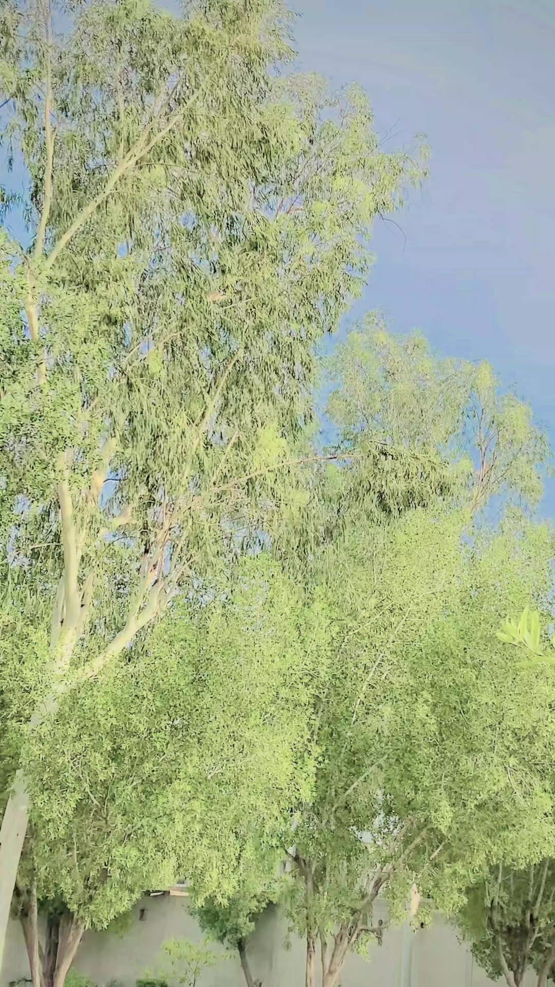 @ℝ𝕒𝕁𝔸.𝟛𝟛𝟛...🕶️🔥