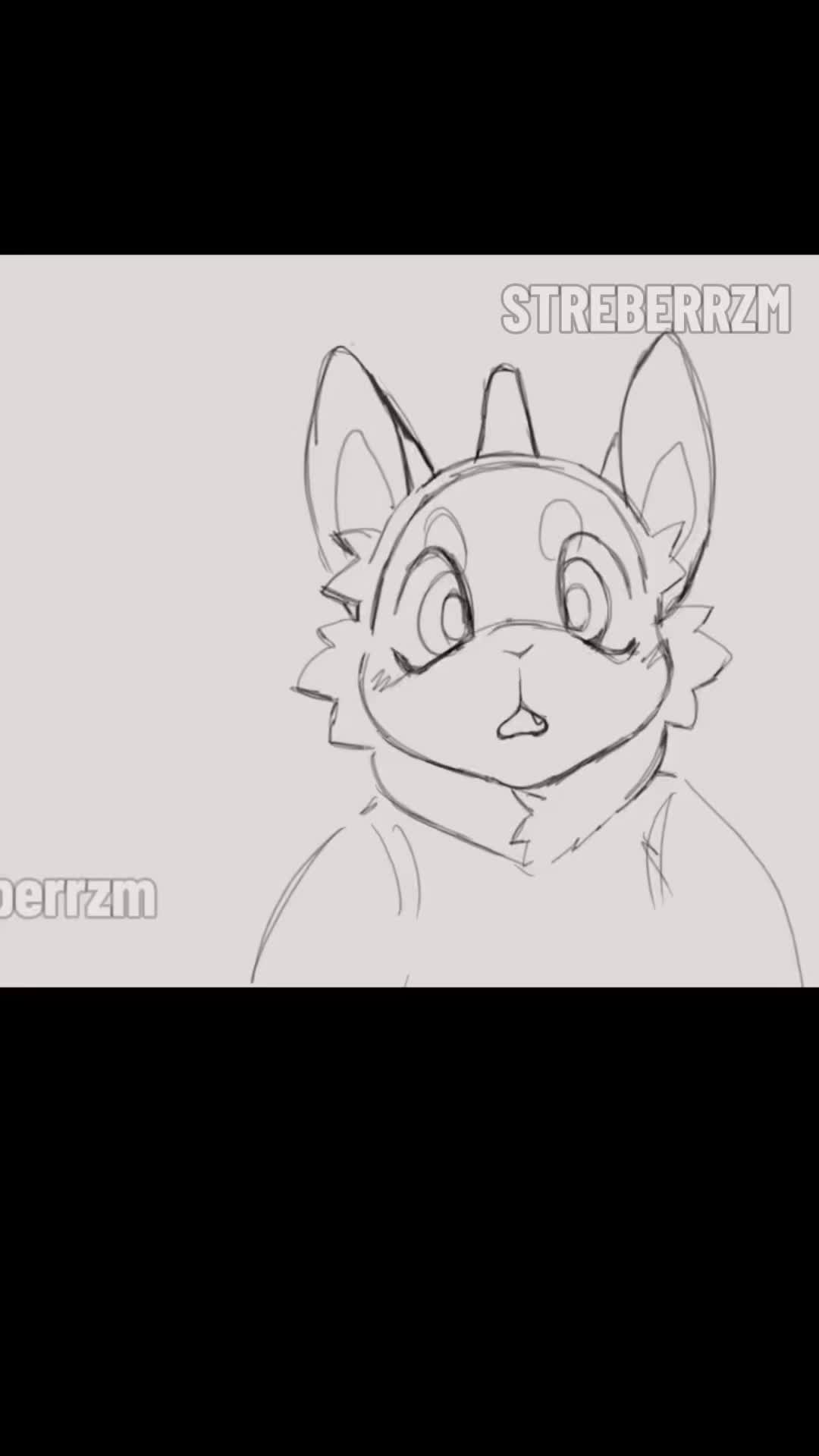 @✮彡🐾NOOT🐾✮彡