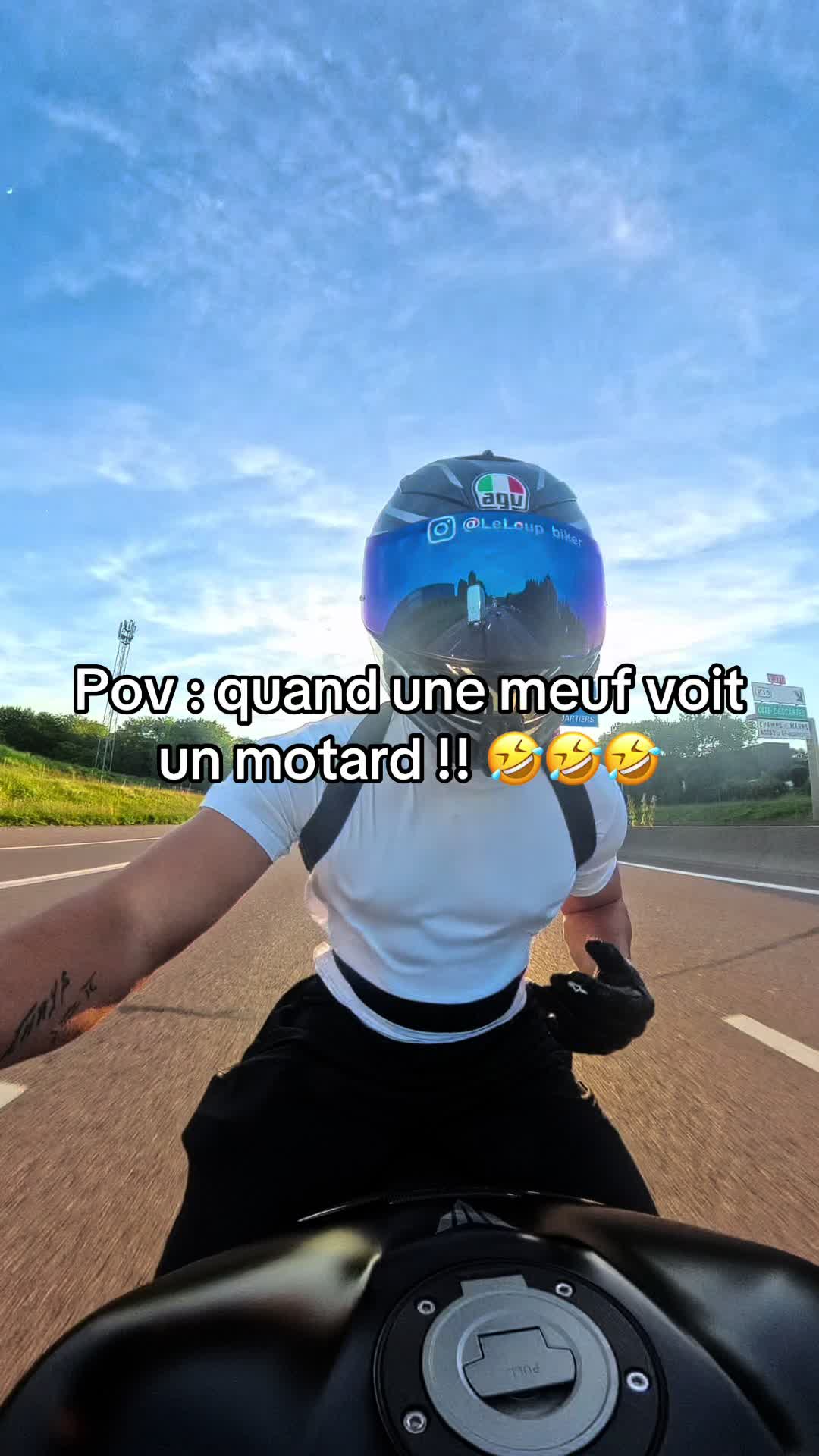 @LE LOUP