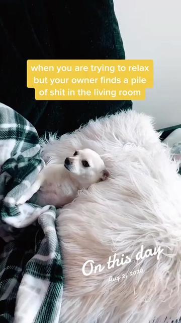 @DejaFit