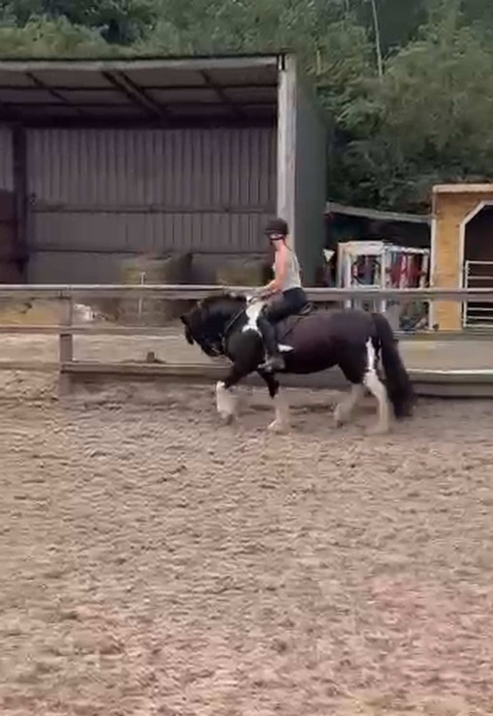 @Moor Farm Stables