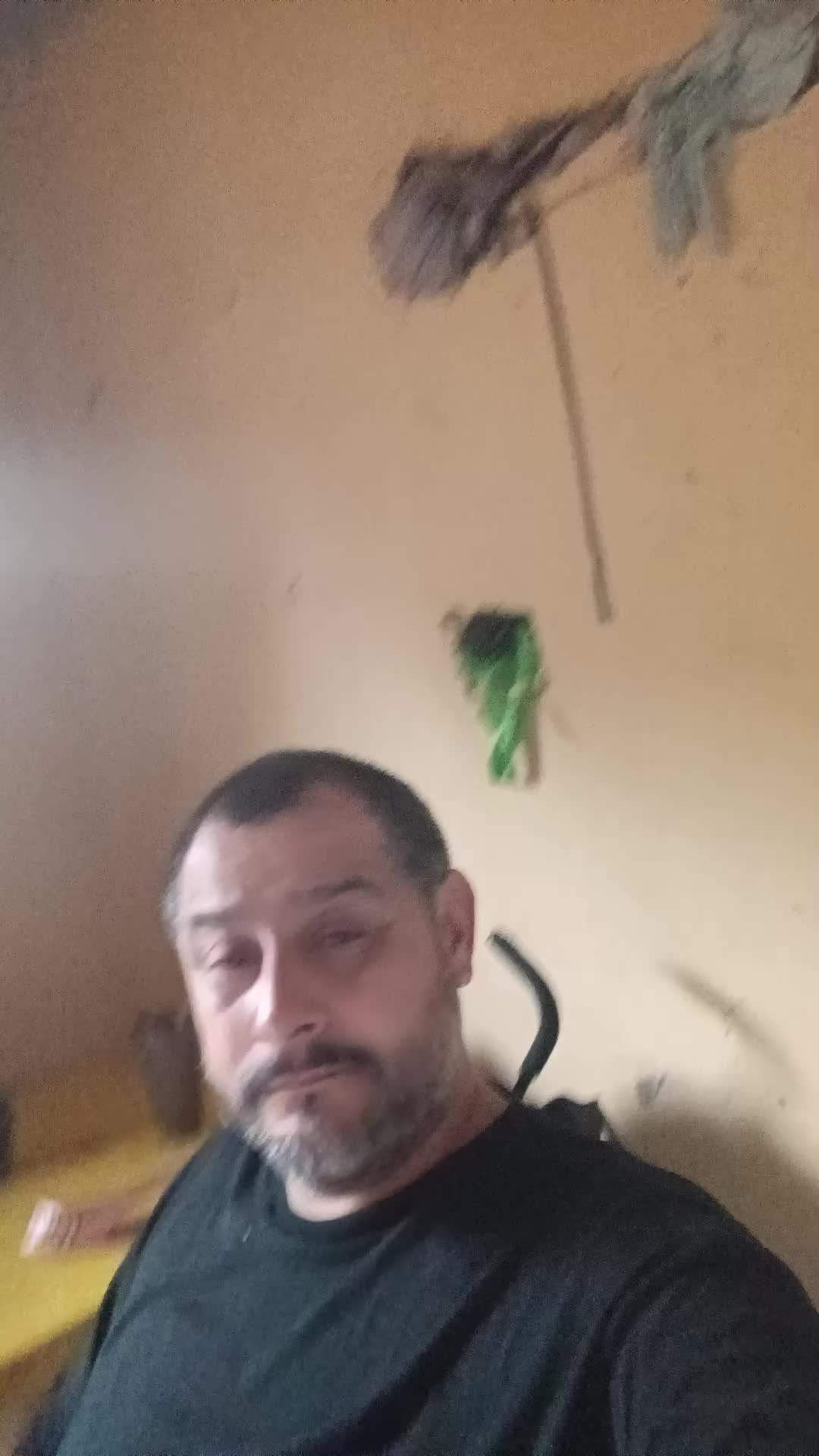 @felizleon0