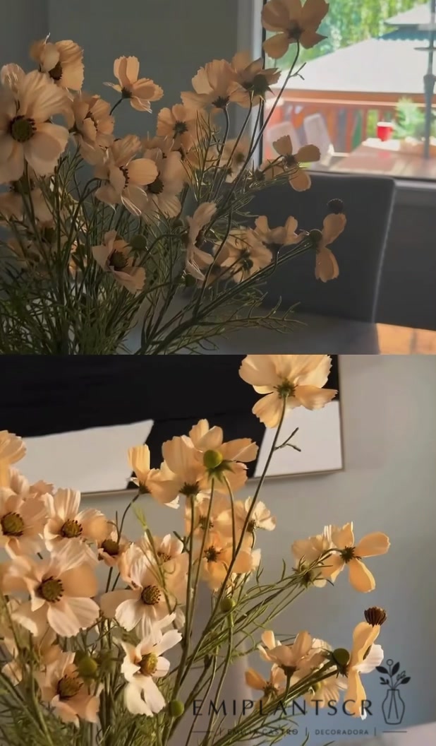@EmiPlantsCr
