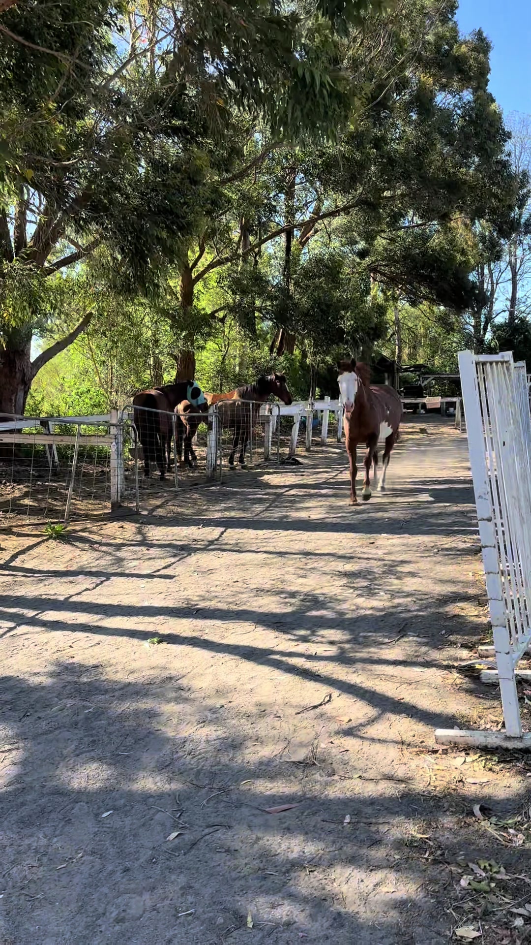 @EPEC - Horse riding centre