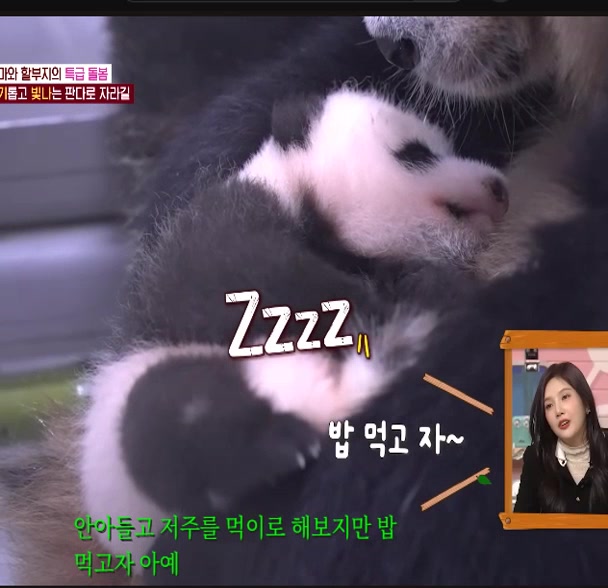 @K-PANDA kim