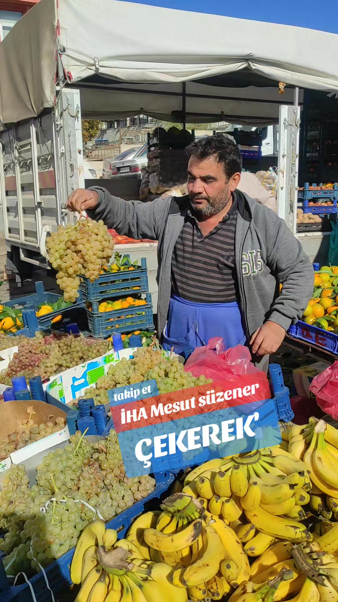 @mesut s&uuml;zener