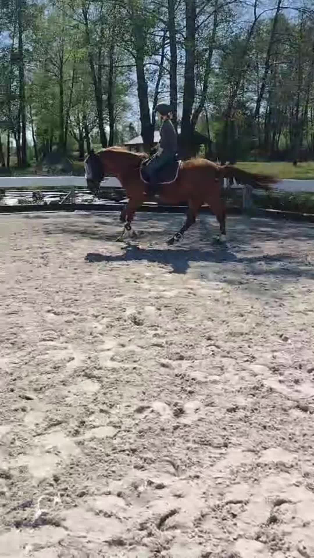 @EvaMlodzinska