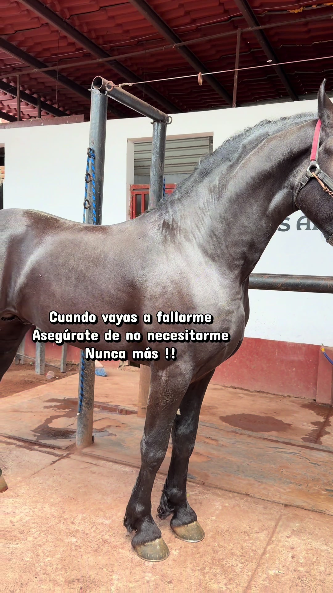 @Rancho los Arcos