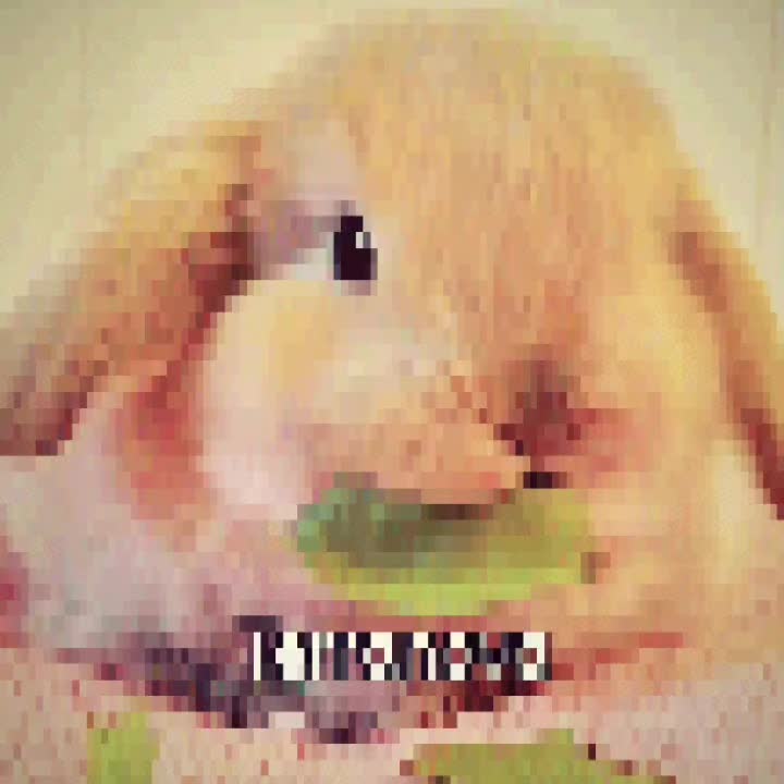 @stupid bassie💘🌈