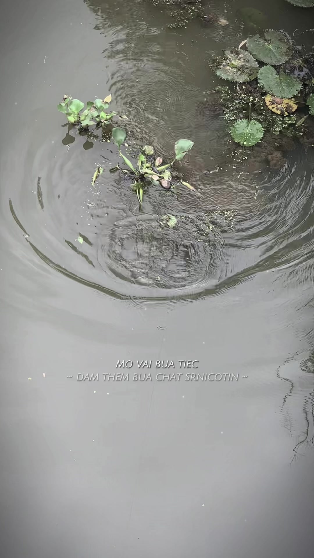 @Trọngg Huyy