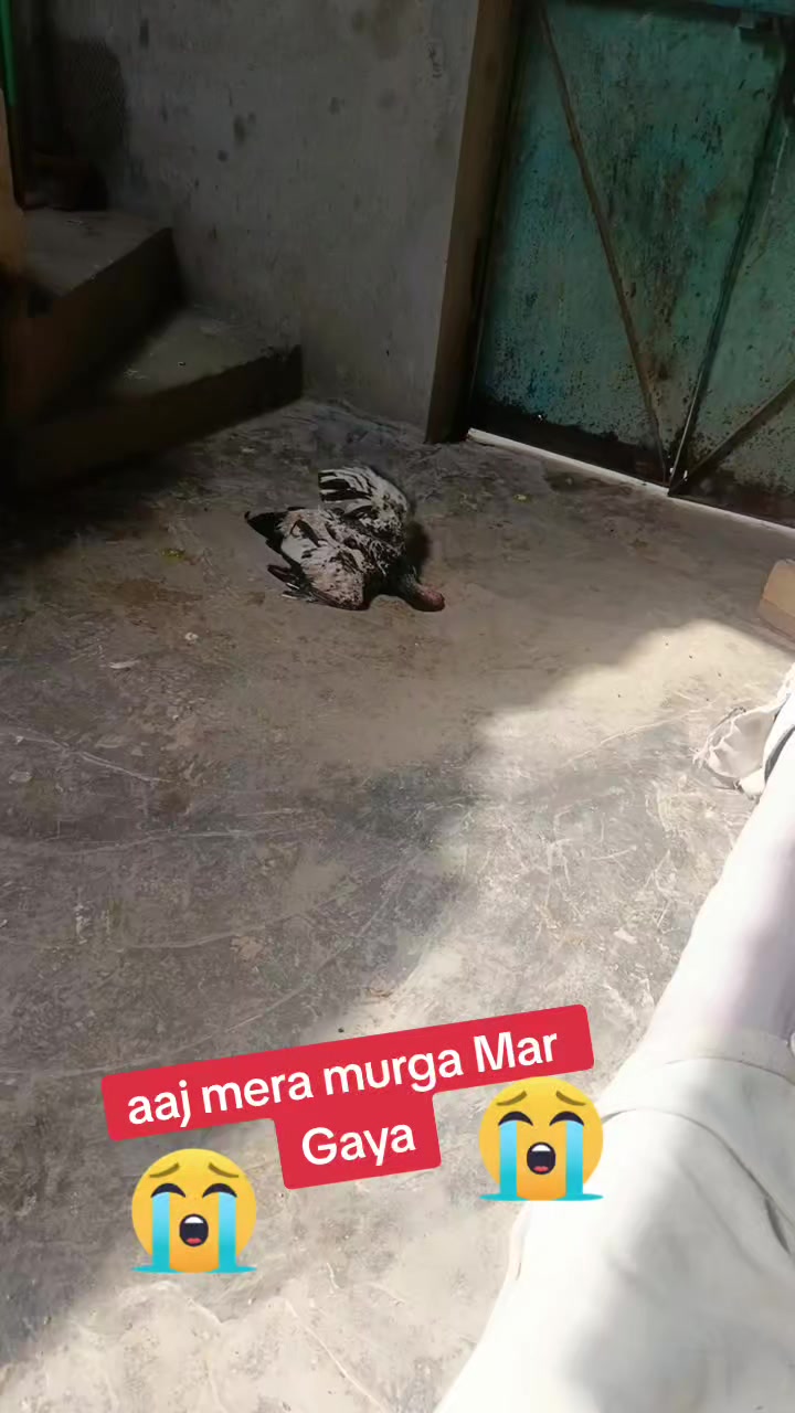 @Mari pyari Maa