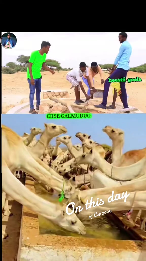 @CIISE GALMUDUGTV🇩🇯JAXAF.JXAF
