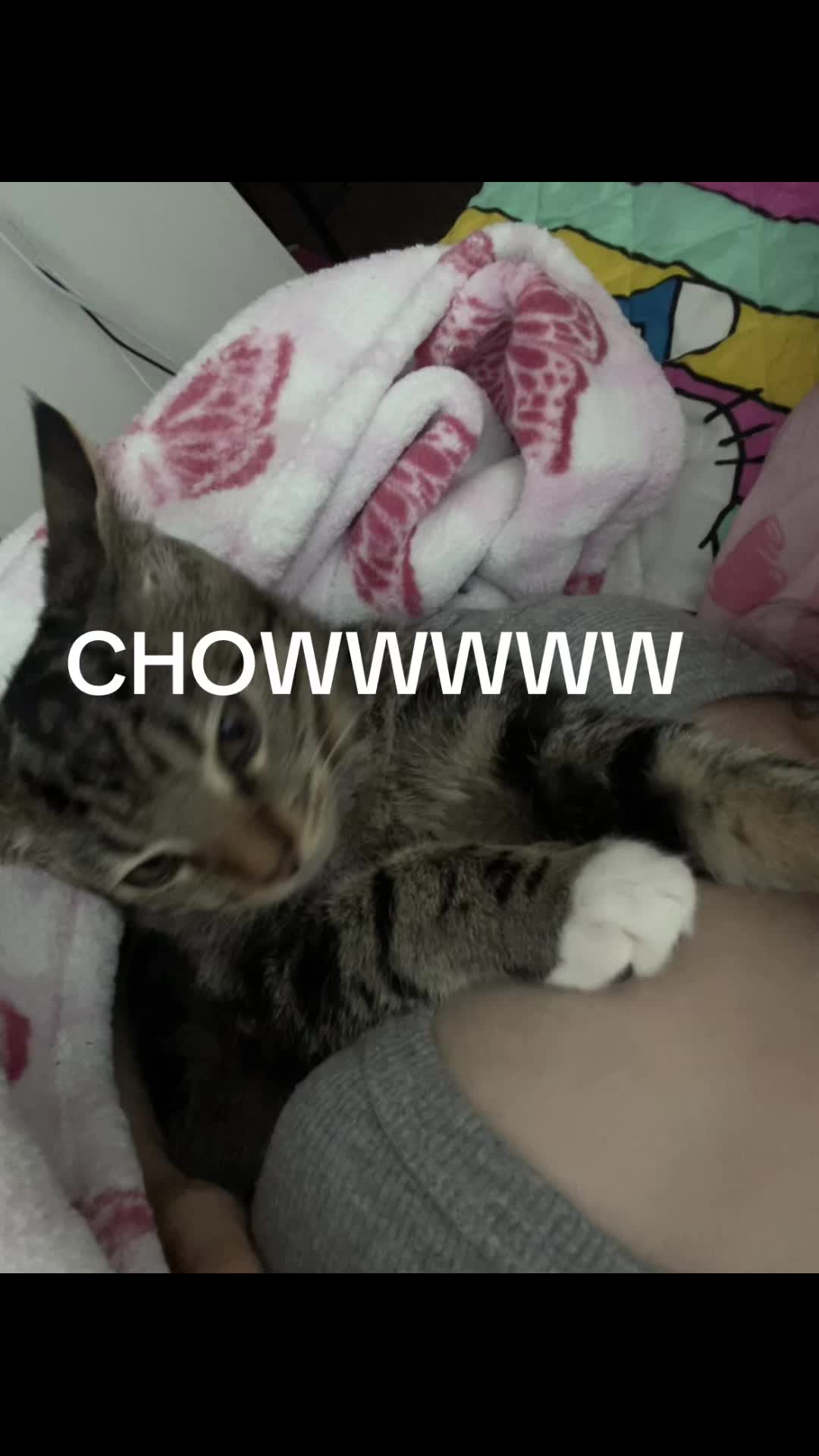 @Ashley