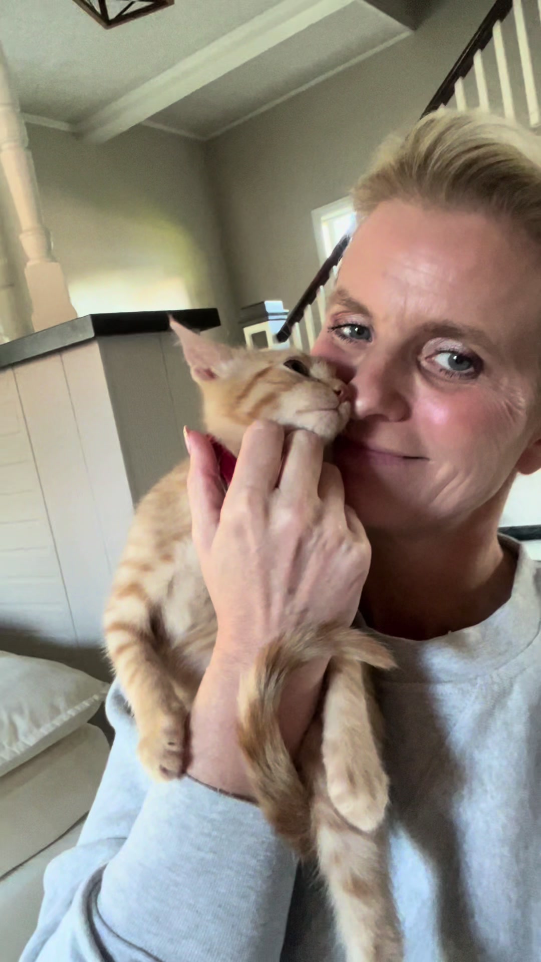 @Kitten.mama