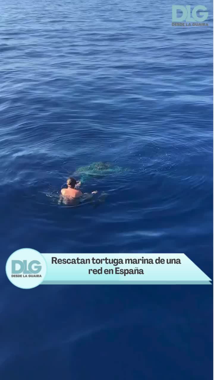 @Noticias Desde La Guaira (DLG)