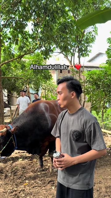 @ahmaddrisal