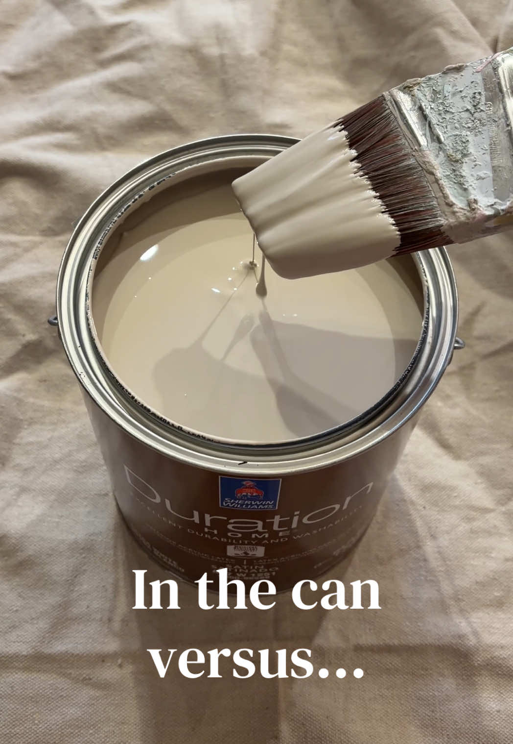 @Megan&rsquo;s Paintings 🖌️