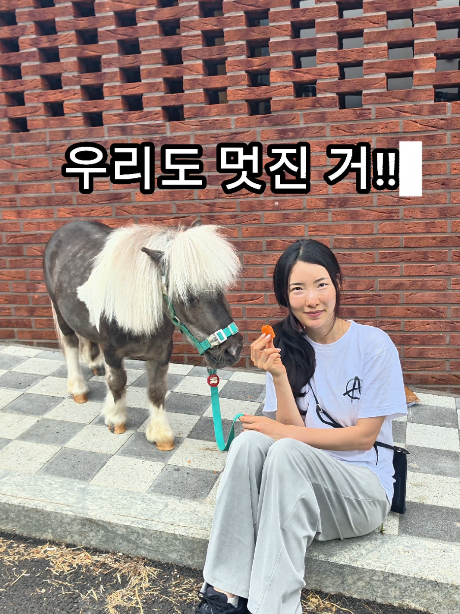 @작은말월리 | 월리플랍🦄