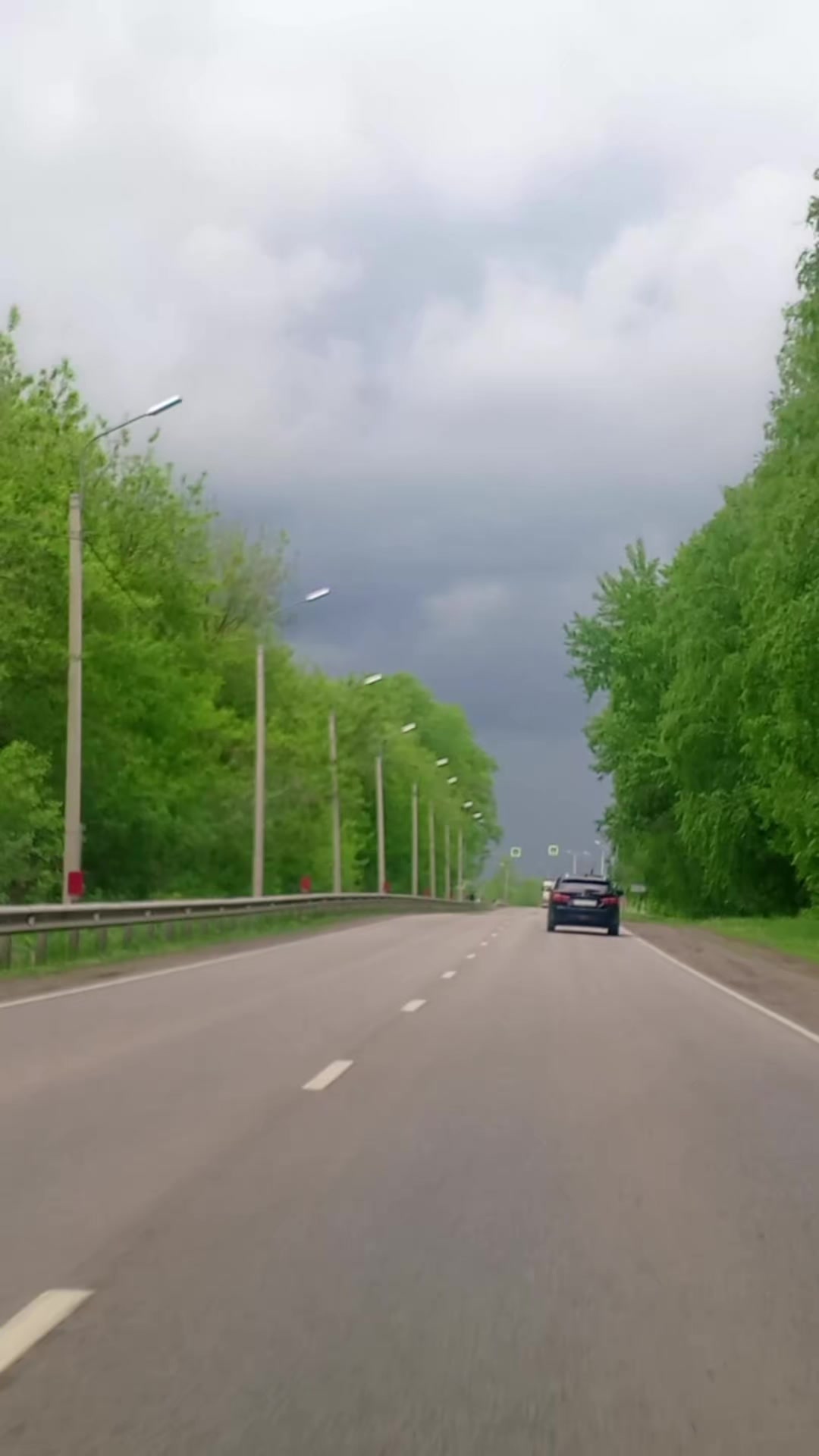 @vladimir