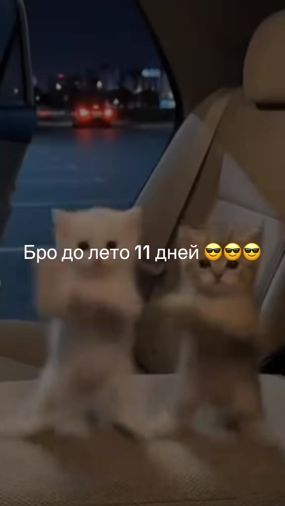 @‼️‼️ЧИКЕН ГАН‼️‼️