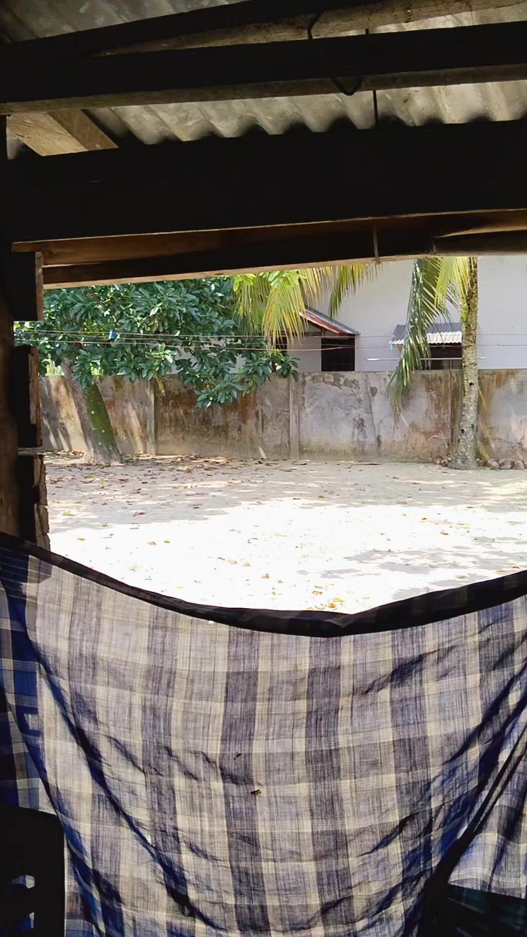@EllyArdi✓🇲🇨