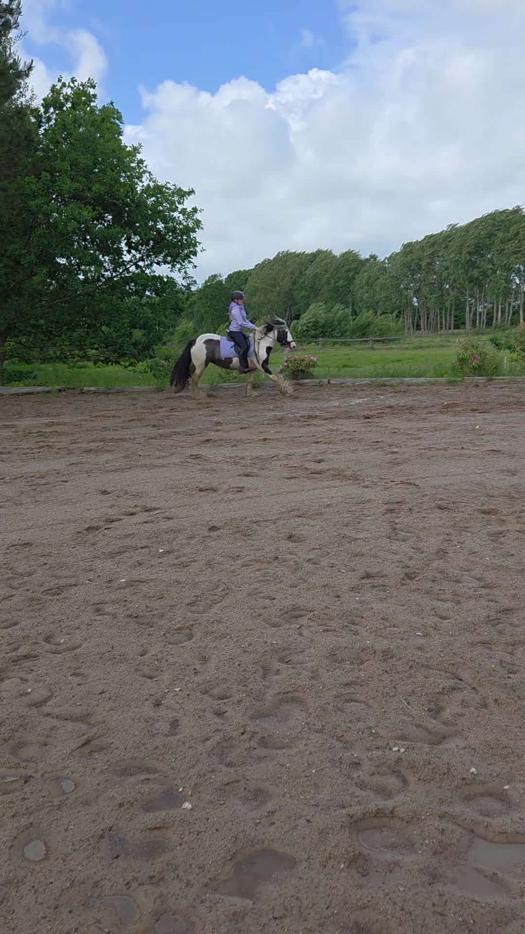 @Josys_Ponyhof-leben
