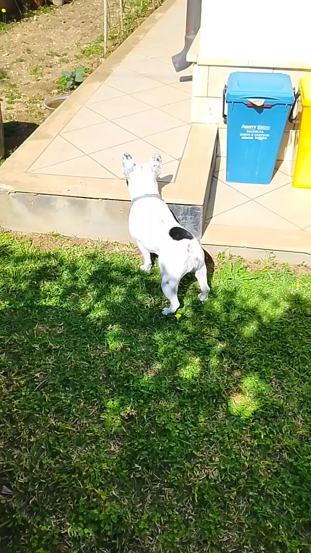 @Nelly🩷Maya🐶