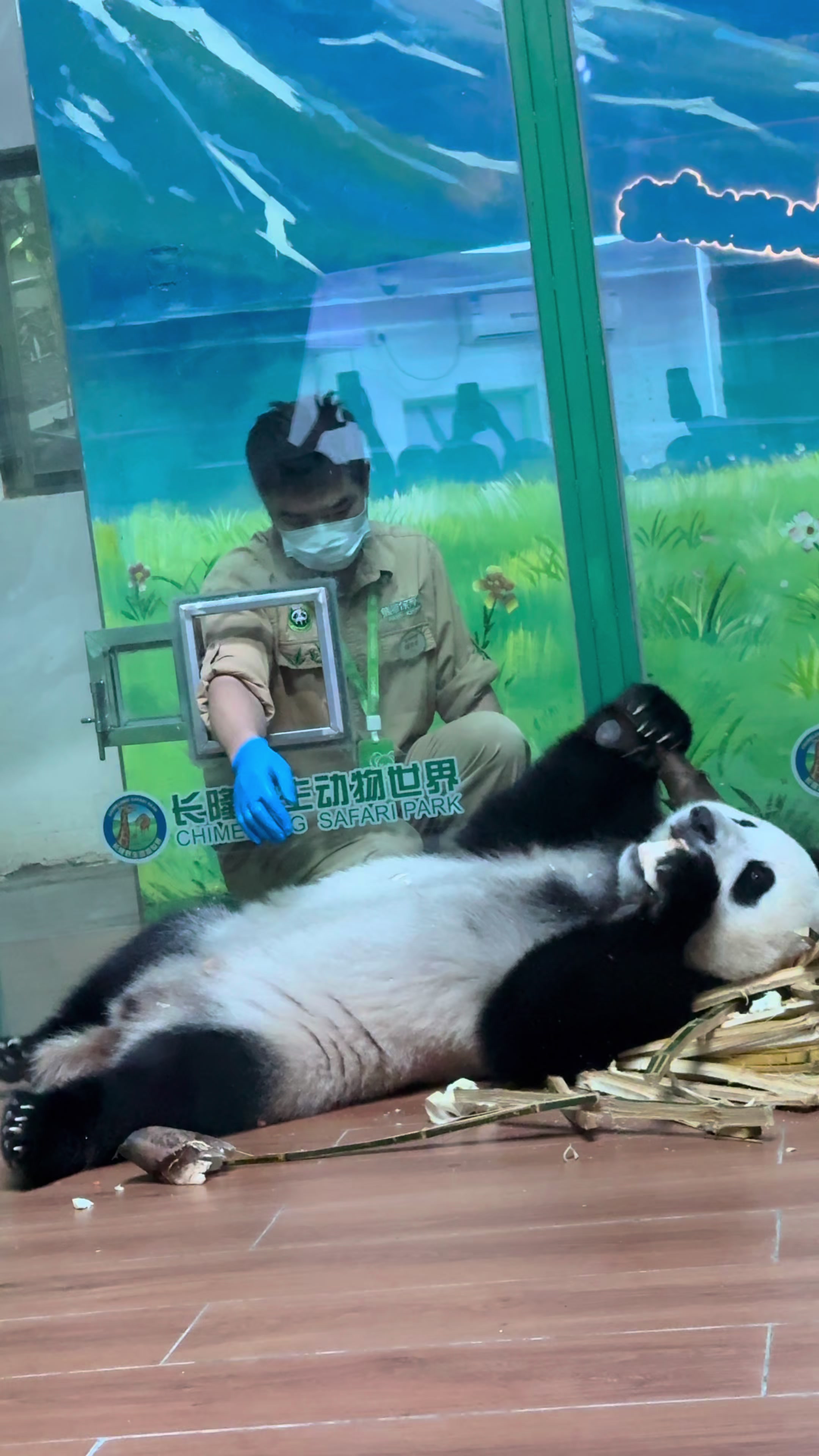 @熊猫妹珠🐼