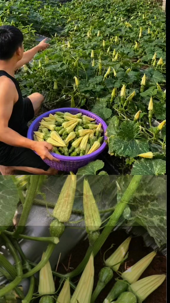 @tới đồ d&ugrave;ng