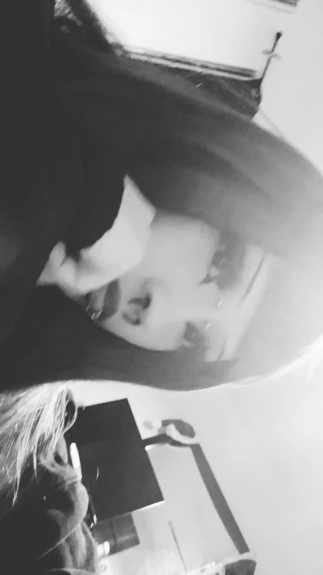 @≽^&bull; ˕ &bull; ྀི≼