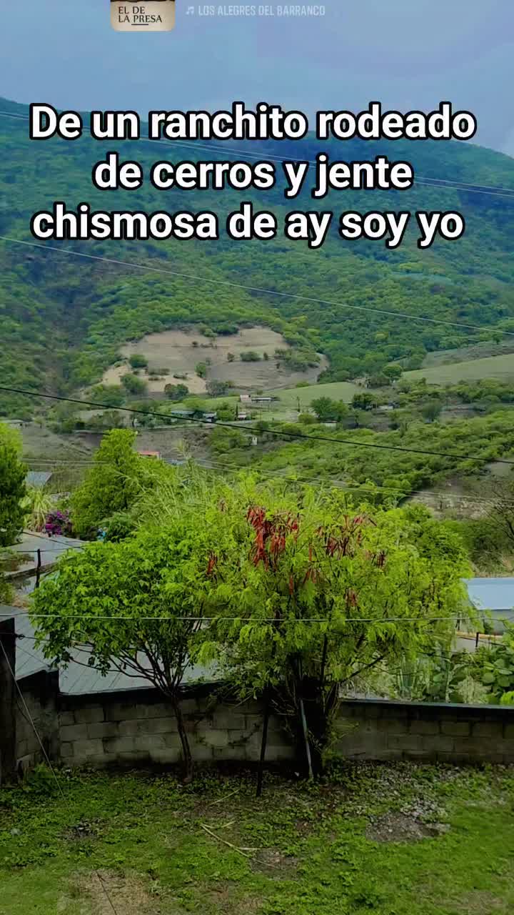 @Pedro salvador