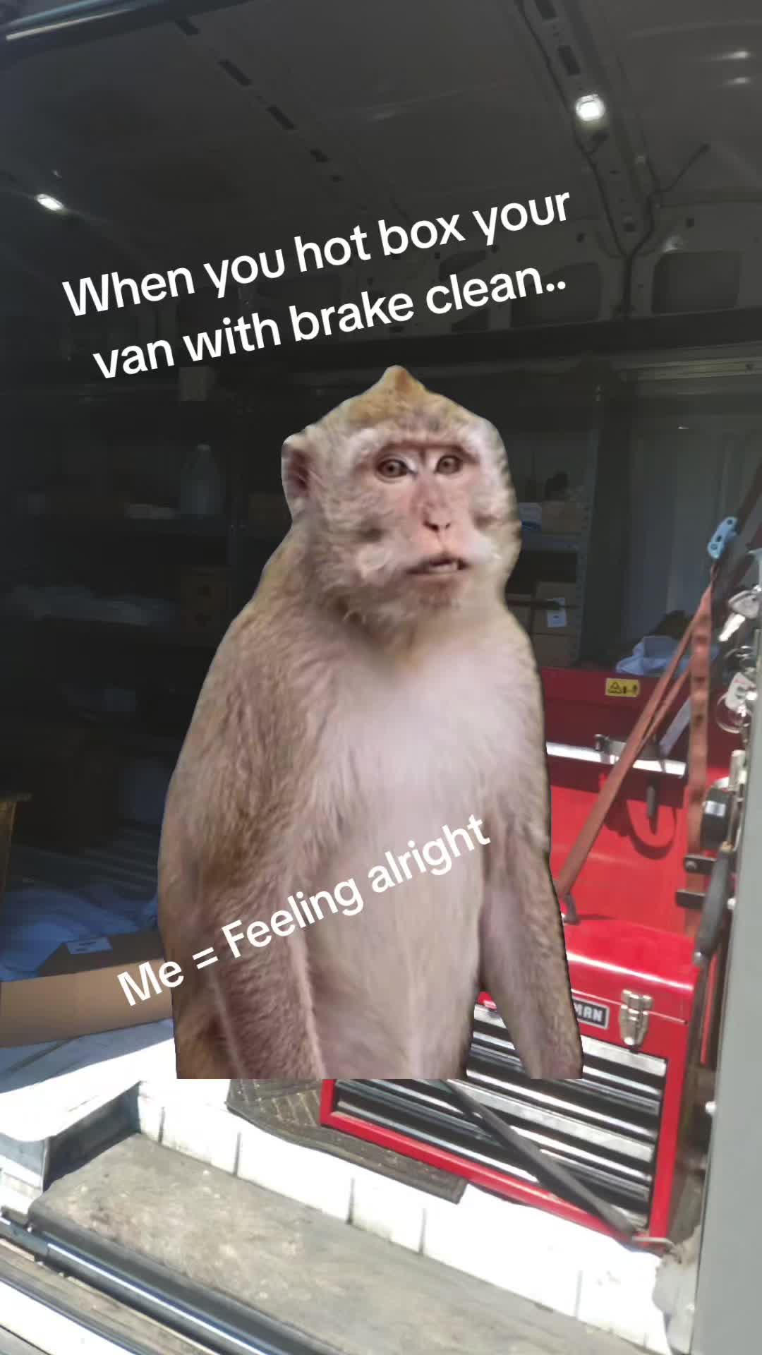 @feral_veteran
