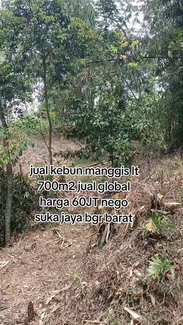 @all froperti