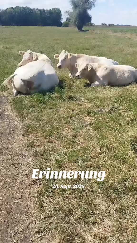 @brinasahobby