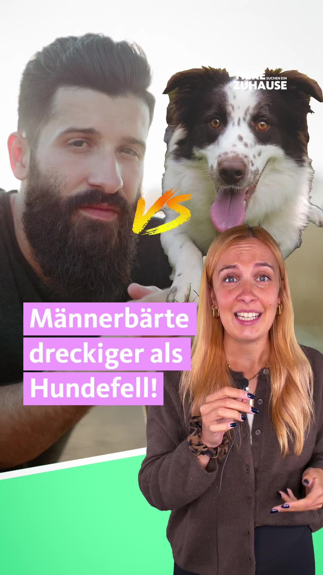 @Tiere suchen ein Zuhause