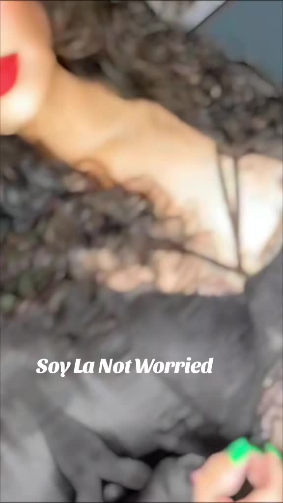 @la norte&ntilde;a de nuevo Le&oacute;n