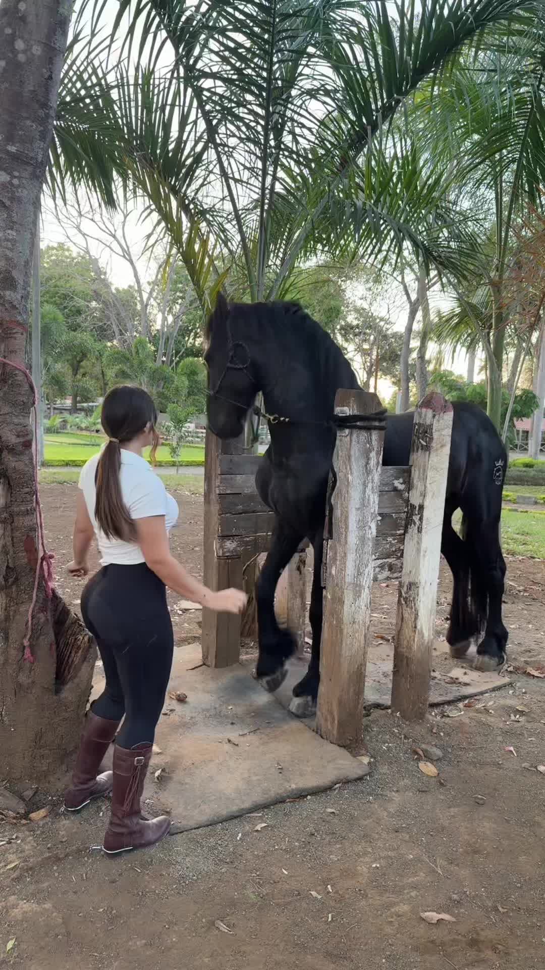 @Cortijo de la Z