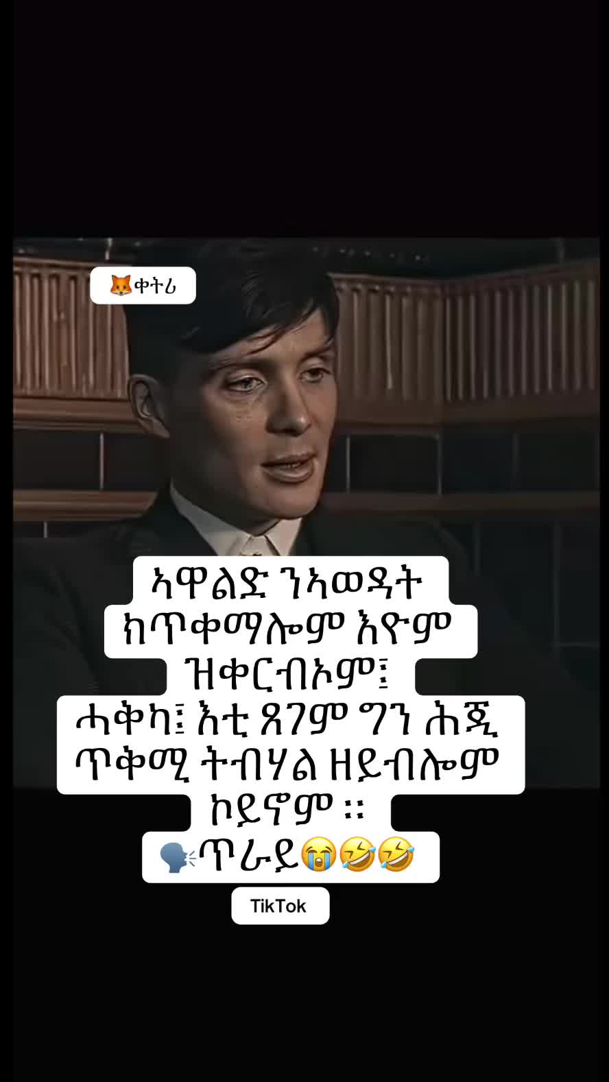 @ዮርዳ🦊ቀትሪ