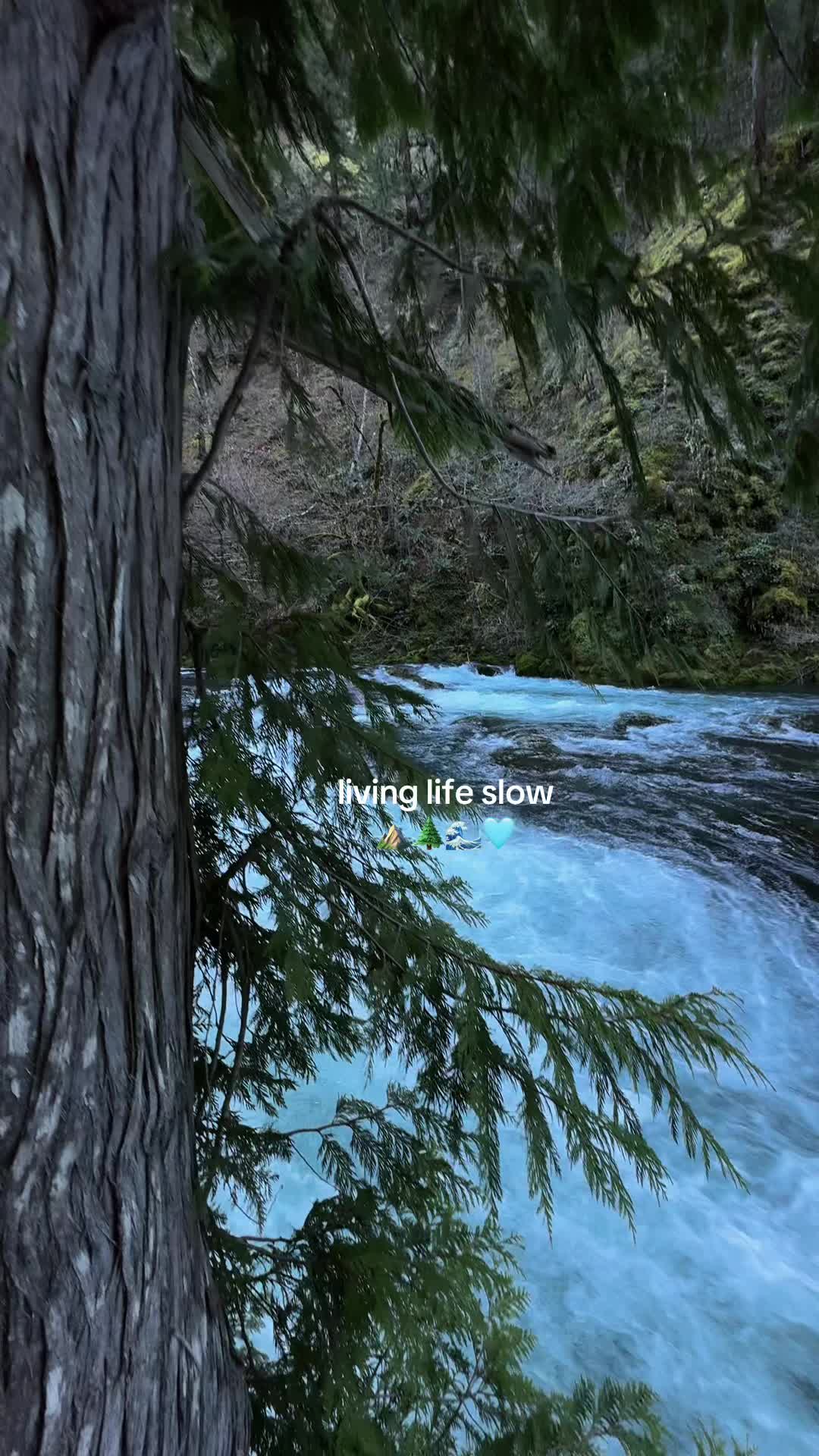 @Oregon Coast