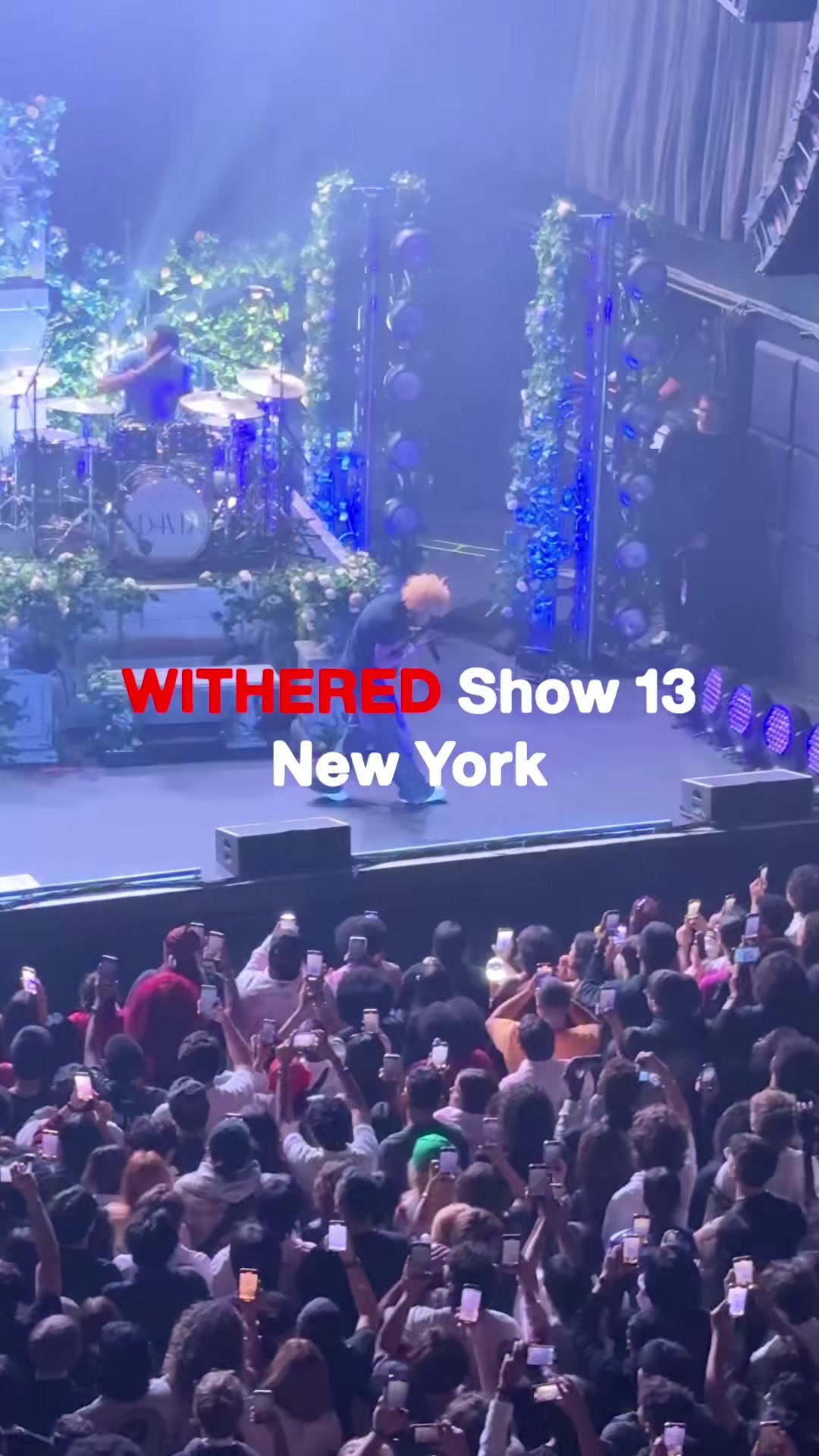 @d4vdtour