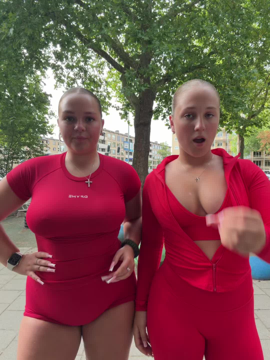 @hamsters