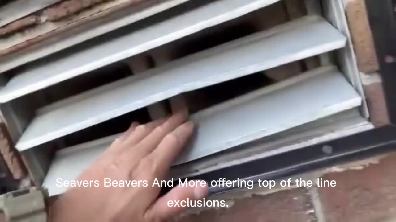@Micah Seavers