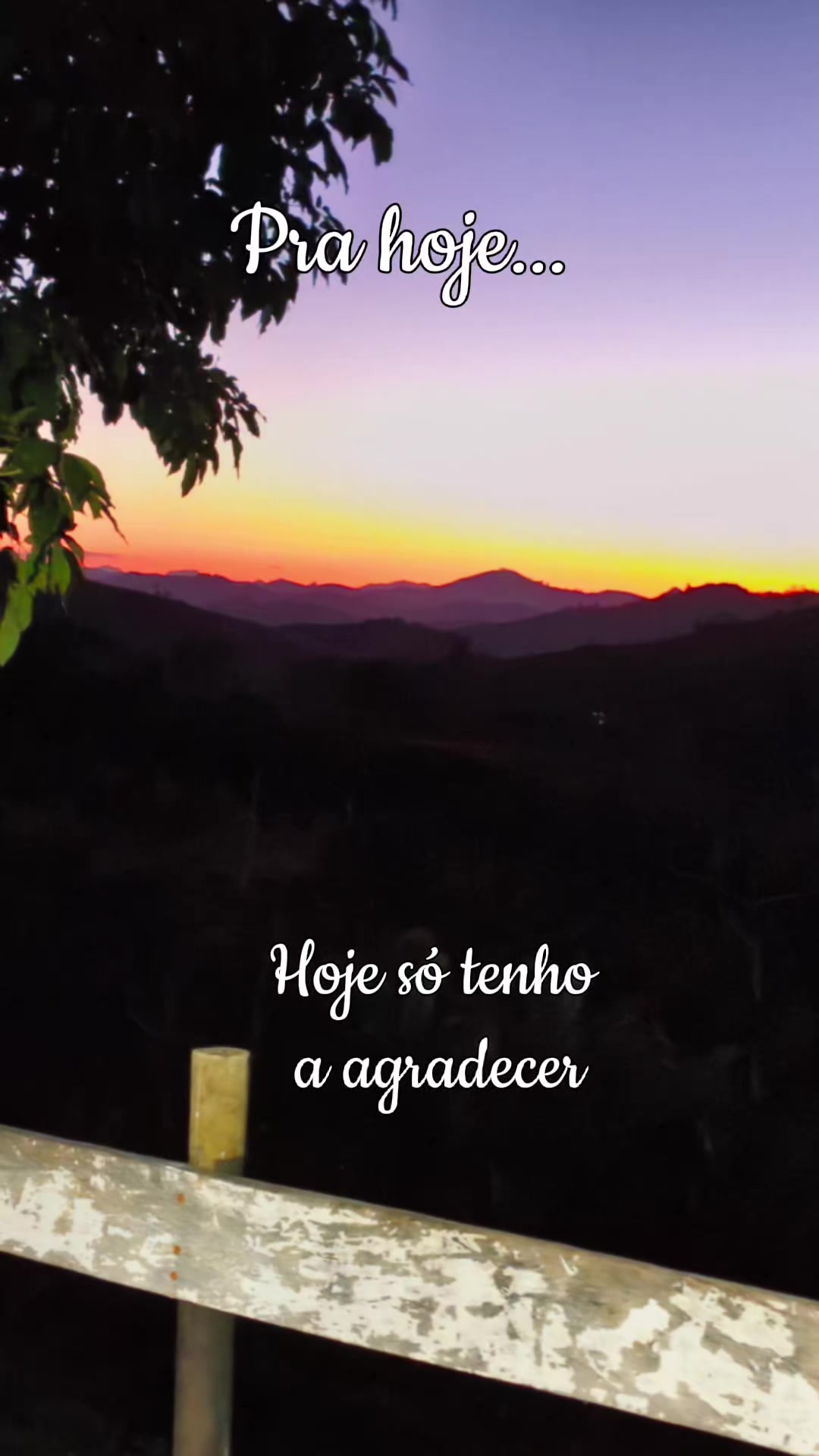 @🍃 ⃝🌻MÁRCIA AMBRÓSIO🍃 ⃝🌻⚡