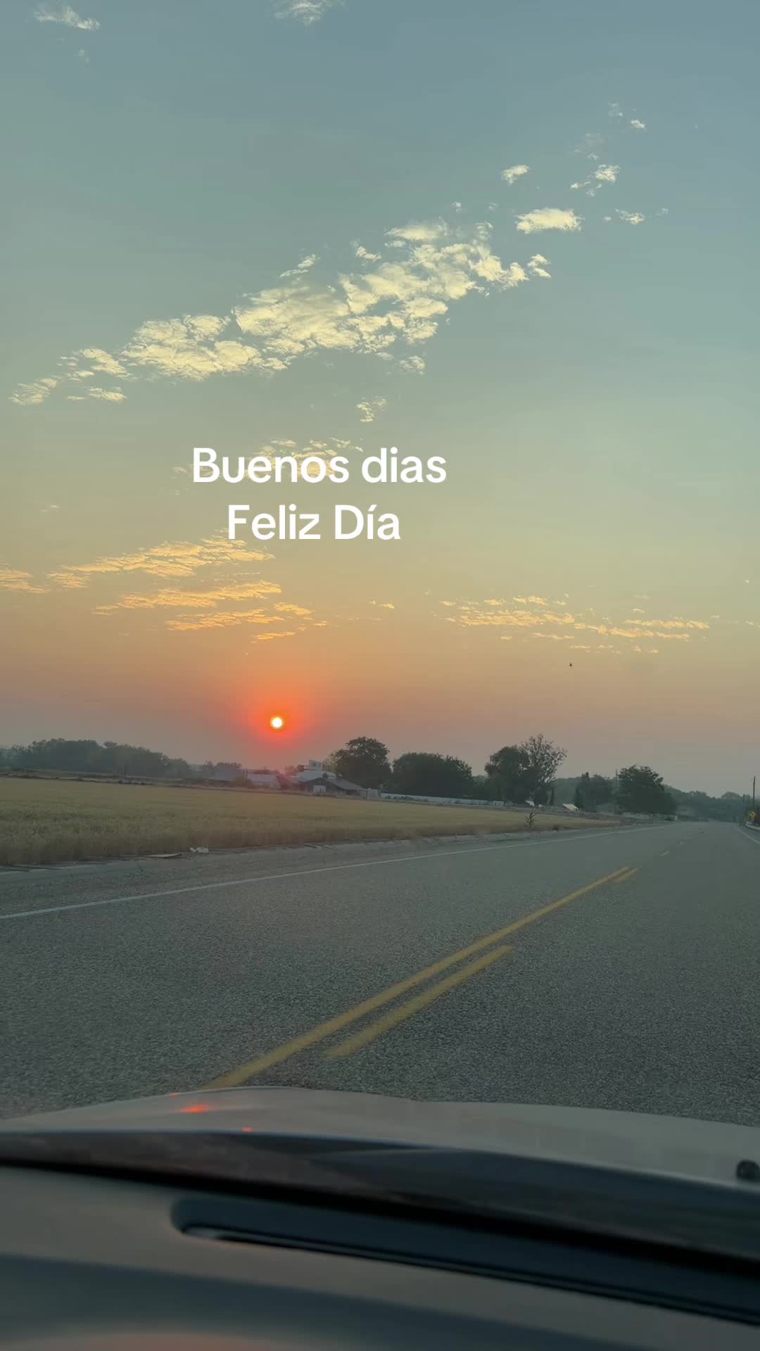 @El Jefecito-208