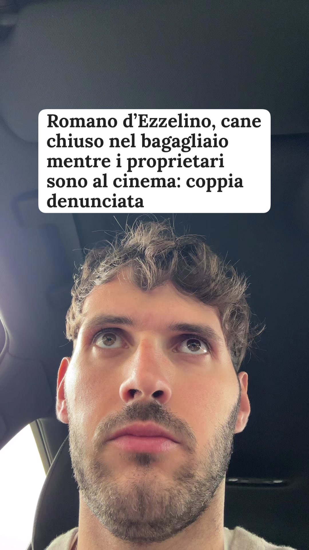 @francescobaccegareal
