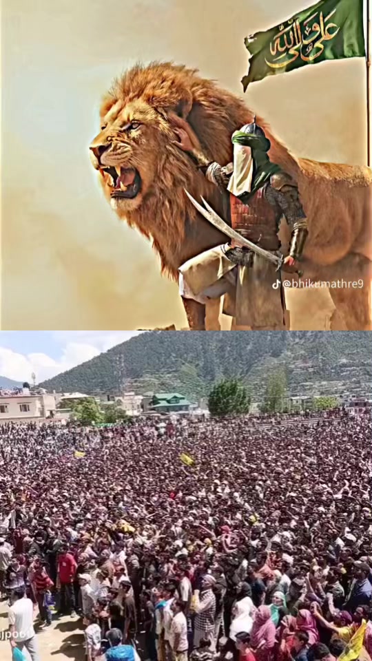 @mazarmazar548