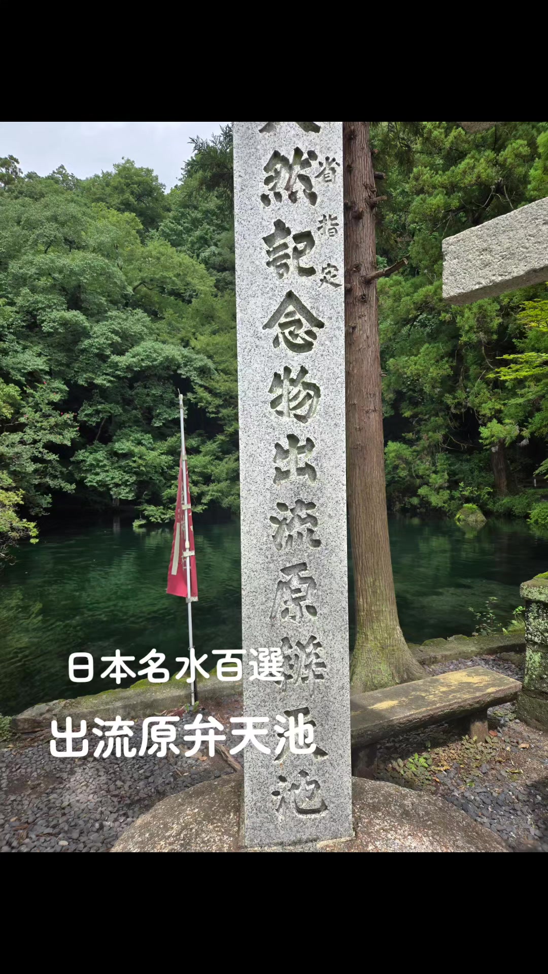@yasu🍶🍻⛩️